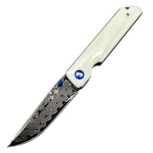 VG10 Damascus Folding Knife