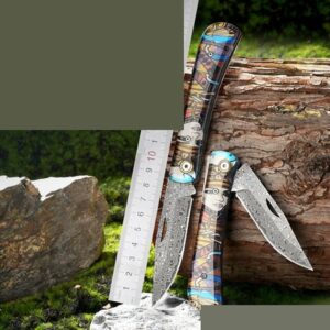 Colour Handle Outdoor Folding Knife Pair