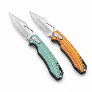 The Steel Fish Is Slightly Bent Folding Knife
